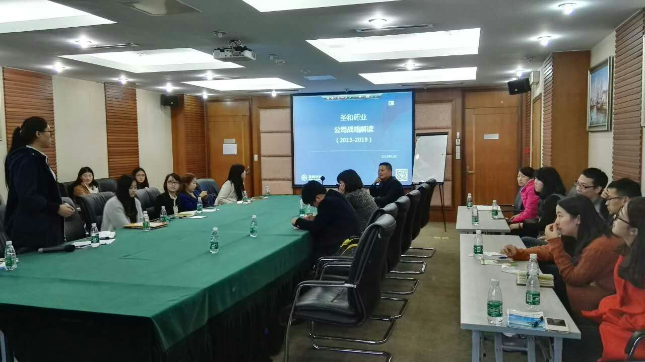 (战略宣贯座谈现场图片1)
