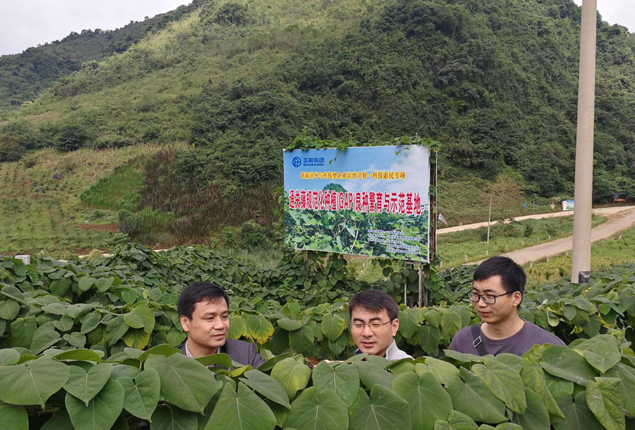 QQ截图20171027152125.png