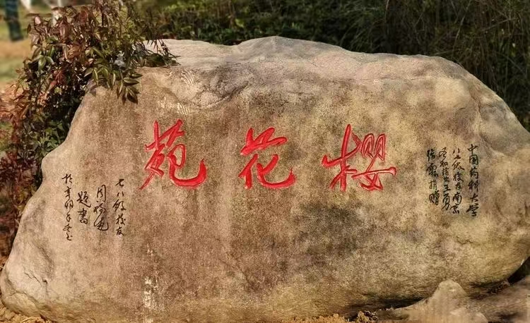 图3.jpg 图3.jpg